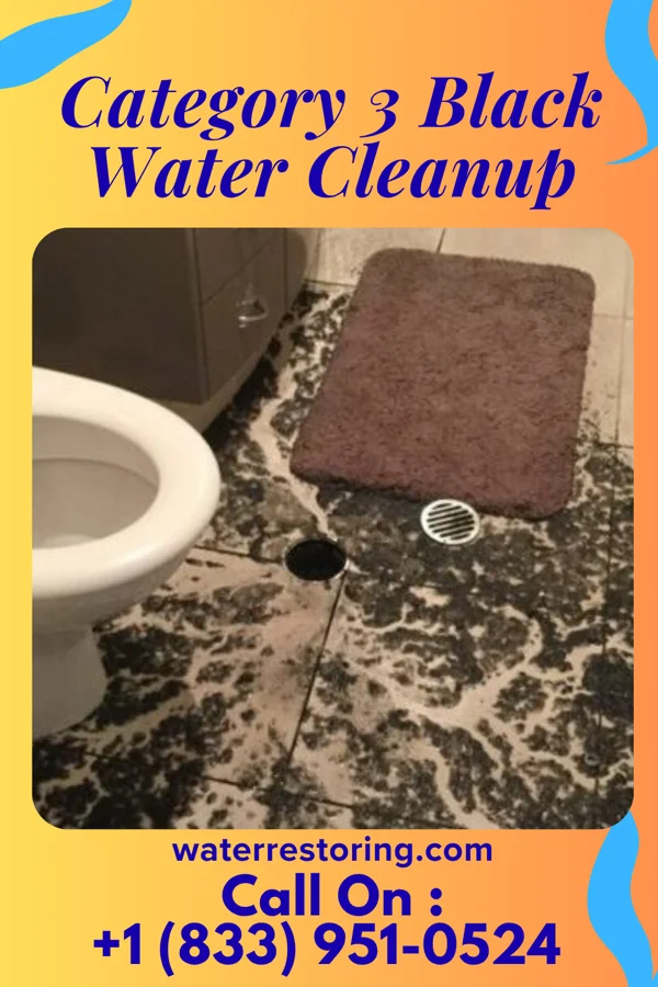 Category 3 Black Water Cleanup in Woodstock, IL