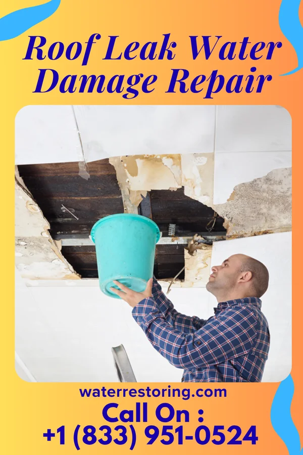 Roof Leak Water Damage Repair in Woodstock, IL