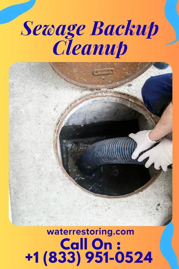 Sewage Backup Cleanup in Woodstock, IL