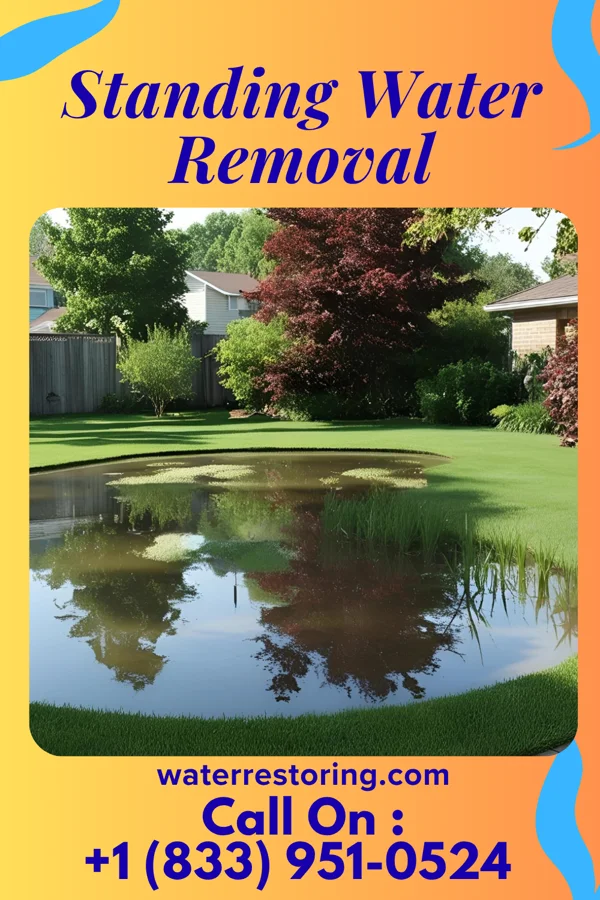 Standing Water Removal in Woodstock, IL
